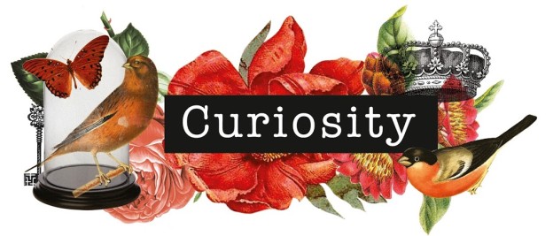 Curiosity_Logo