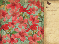 Tropicana 12x12 Scrapbook Paper - Hibiscus